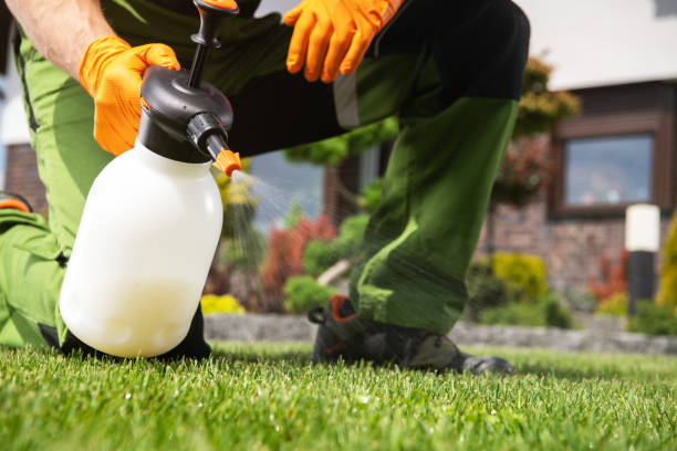Best Pest Inspection Near Me  in Sandia Knolls, NM