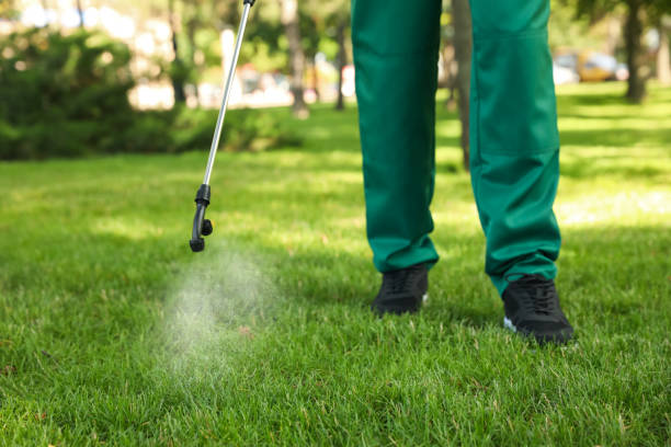Professional Pest Control in Sandia Knolls, NM