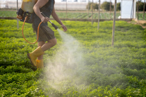Best Wildlife Control Services  in Sandia Knolls, NM