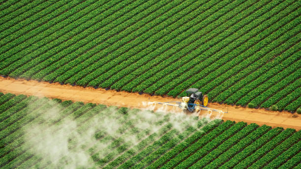 Best Pest Control Treatment  in Sandia Knolls, NM