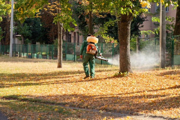 Best Pest Removal Services  in Sandia Knolls, NM