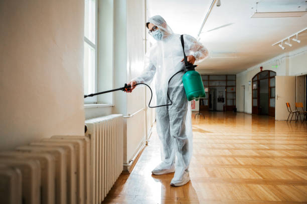 Best Flea Control Services  in Sandia Knolls, NM