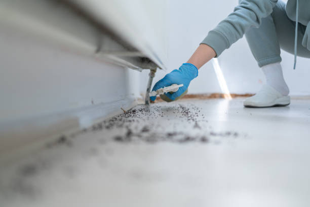 Insect Control in Sandia Knolls, NM